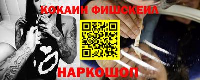 амф Камышлов
