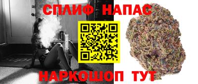 прущие грибы Кандалакша
