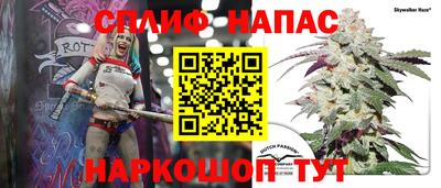 прущие грибы Кандалакша