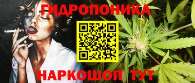 прущие грибы Кандалакша